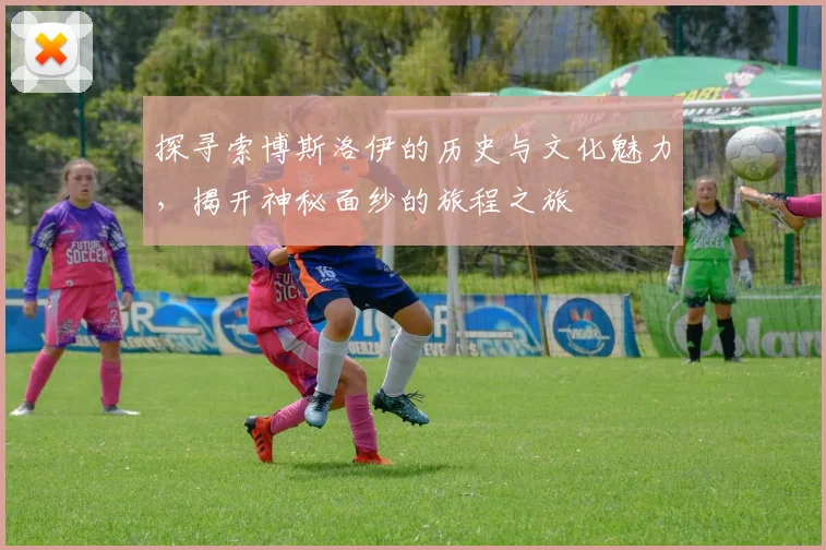 探寻索博斯洛伊的历史与文化魅力，揭开神秘面纱的旅程之旅