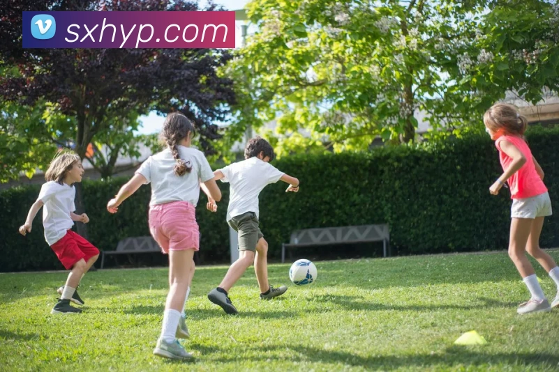 App Interface Preview