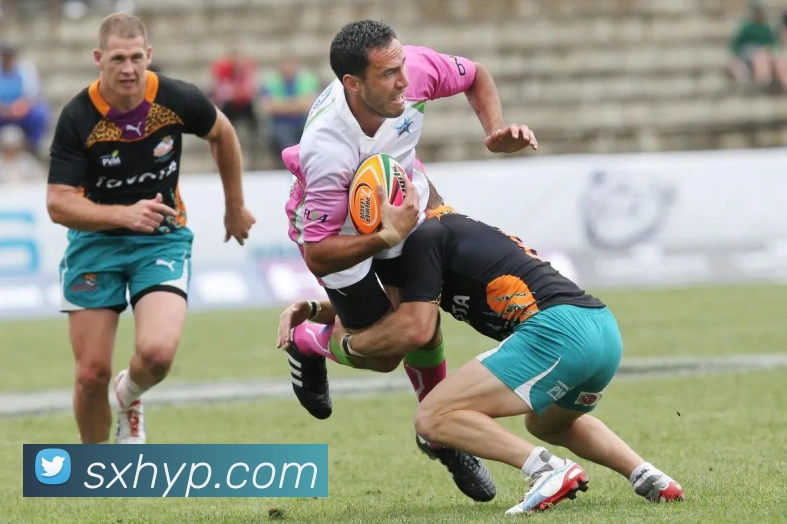 雷火竞技APP 封面图